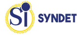 Syndet India